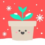 Teuida: Learn Languages